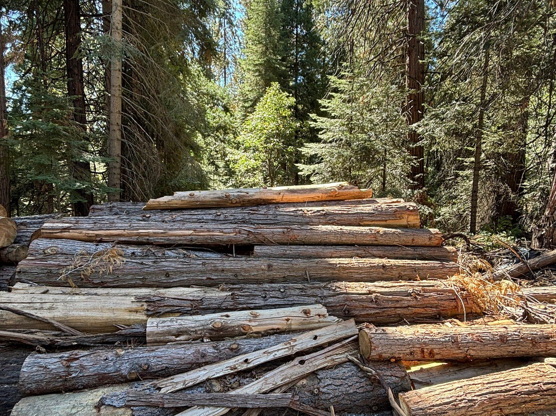 Yosemite Mountain Sugar Pine Railroad-菲什营必去景点
