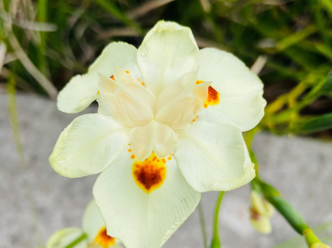 Station Street Park-Carlton必去景点