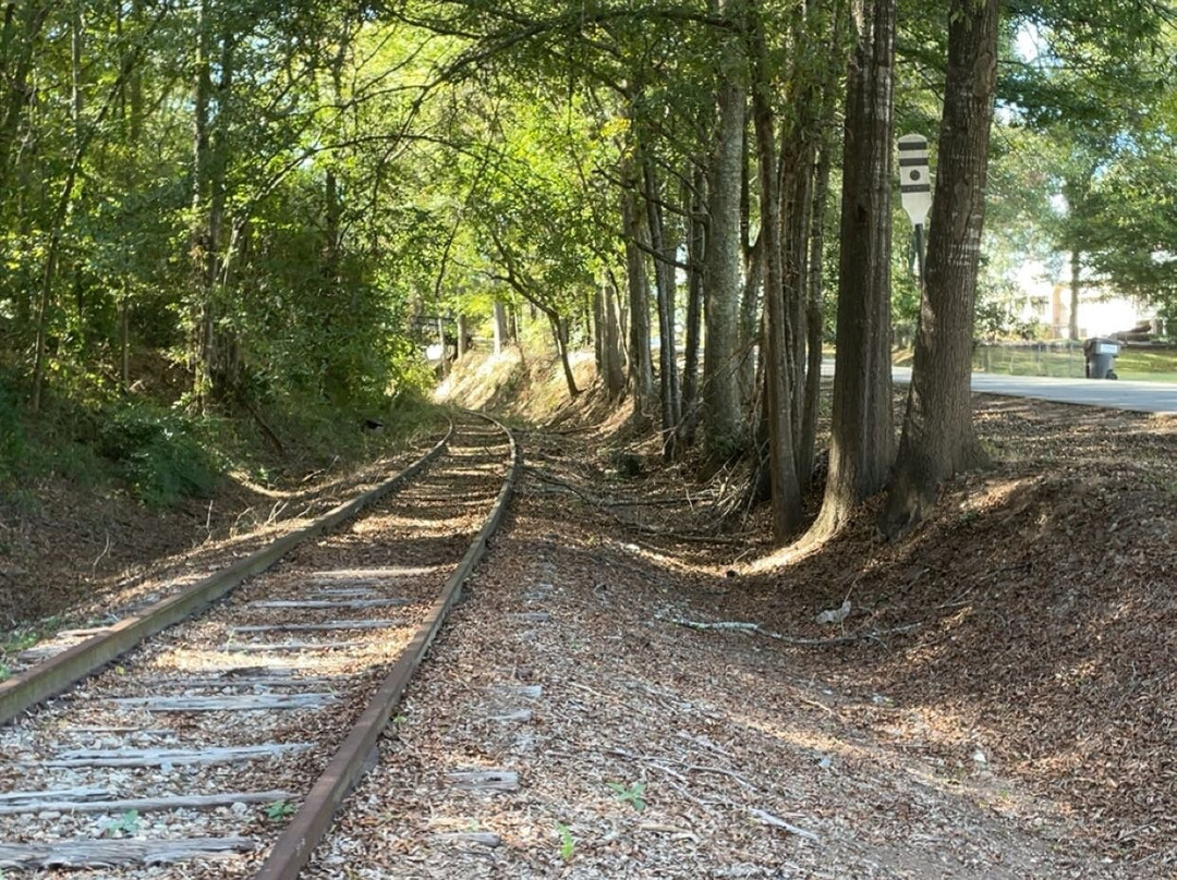 Water Tower Tours-Senoia必去景点