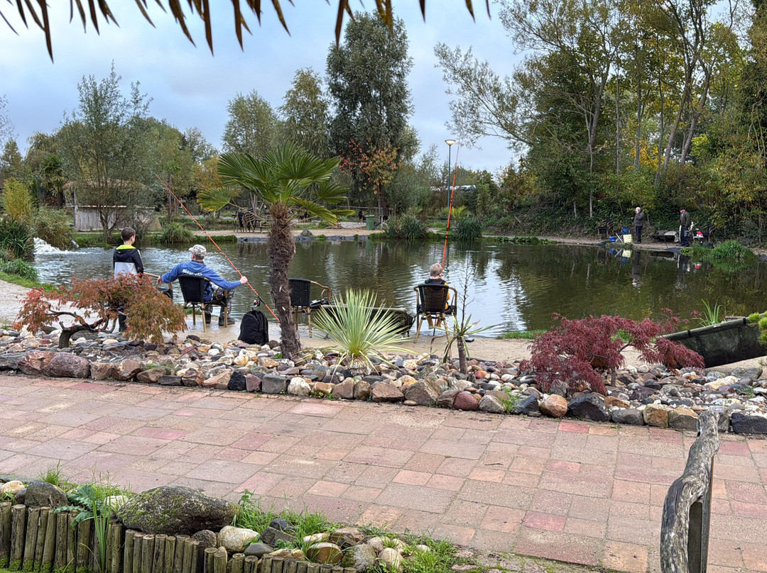 Vispark Toms Creek-莱利斯塔德必去景点