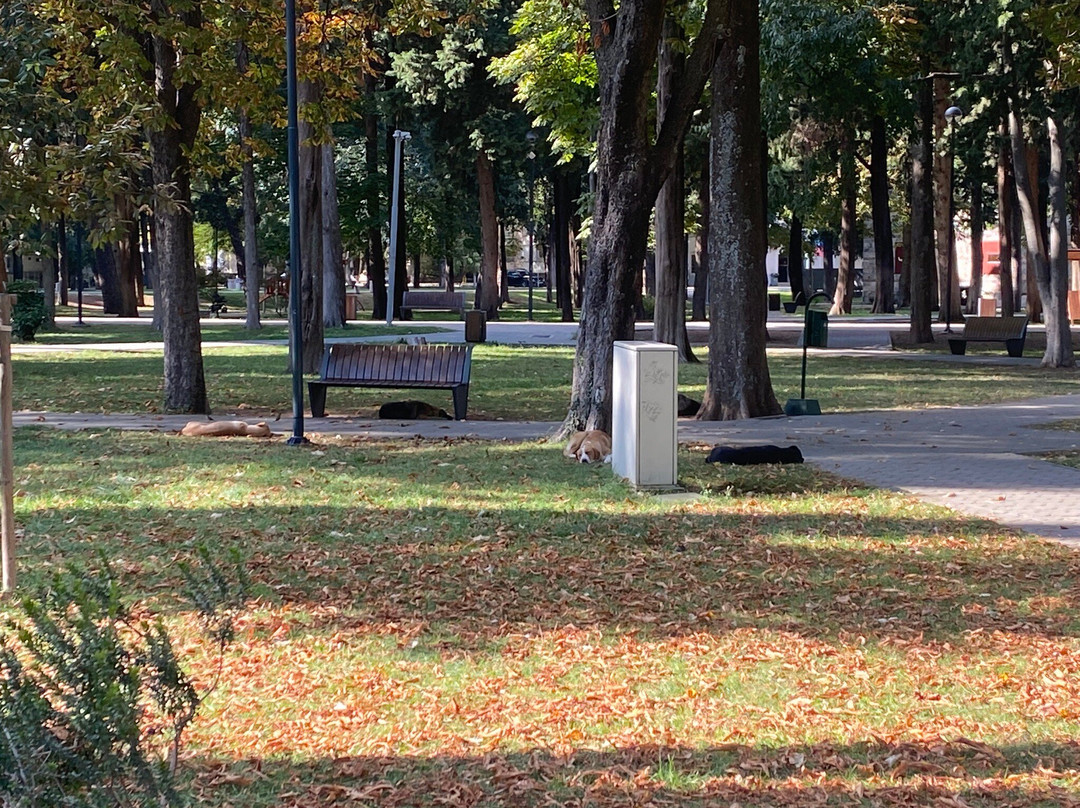 Gradski Park