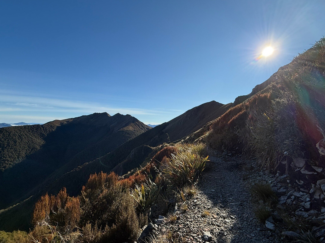 The Old Ghost Road-韦斯特波特必去景点