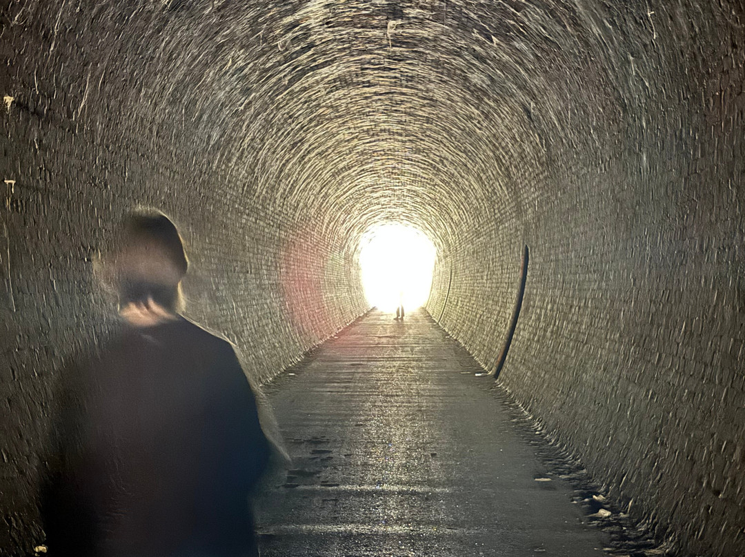 Cheviot Tunnel-Yea必去景点