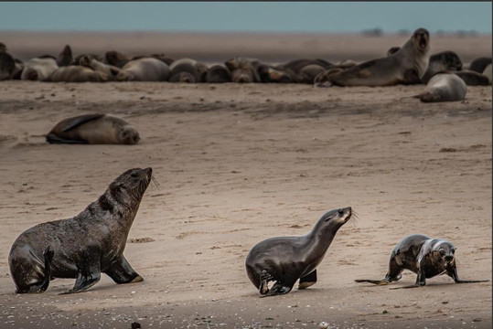 Gazechase Travels-温德和克必去景点