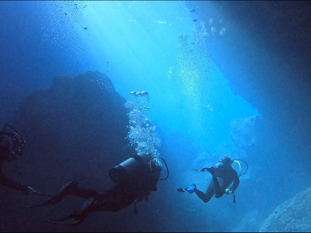 Blue Adventures Diving-干尼亚必去景点