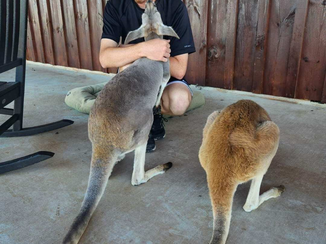 Blue Hills Ranch-McGregor必去景点