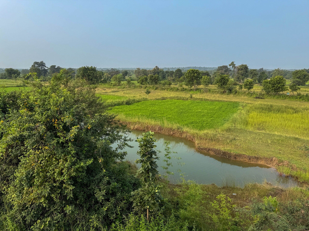 Jungle Home Tadoba Wilderness Lodge