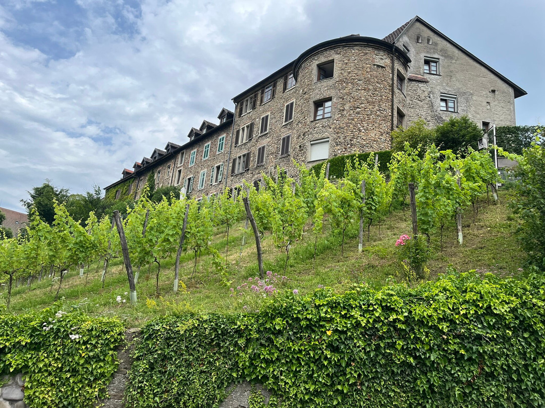 Oberstadt Bregenz-布雷根兹必去景点