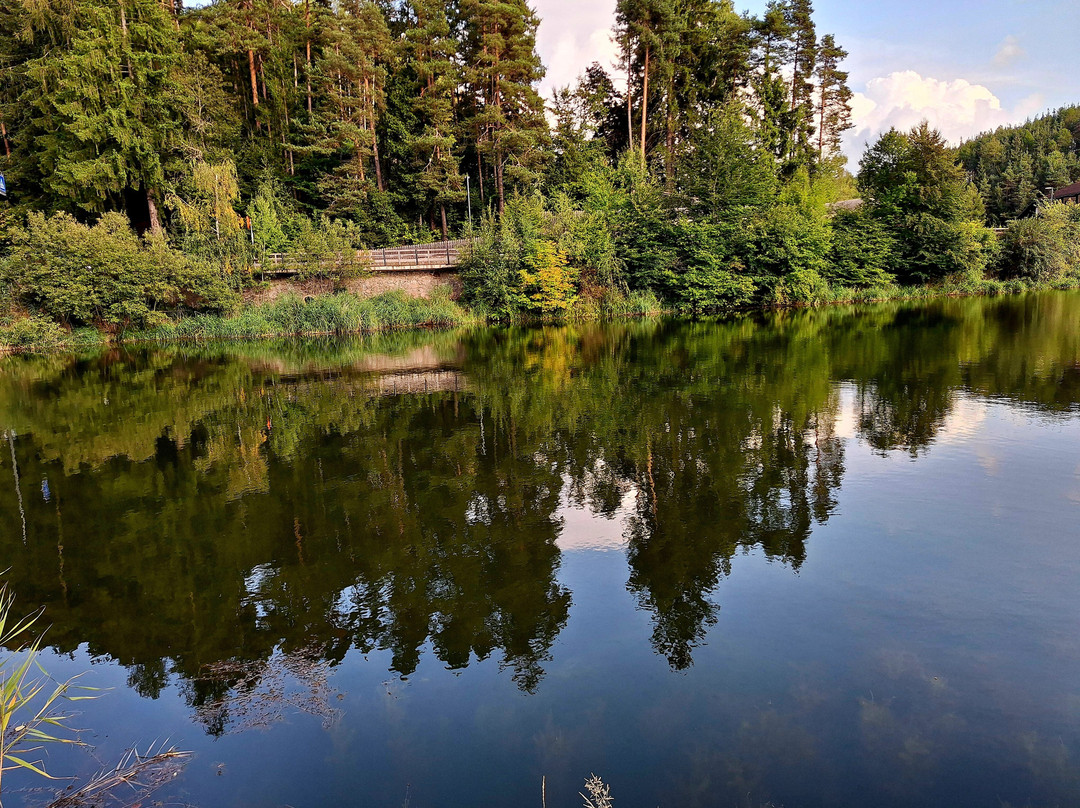 Soggiorno Alpino Costalovara主图
