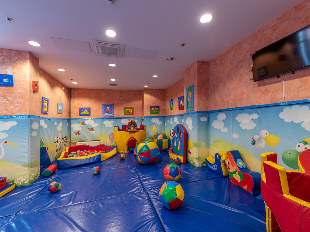 新彼得霍夫酒店主图