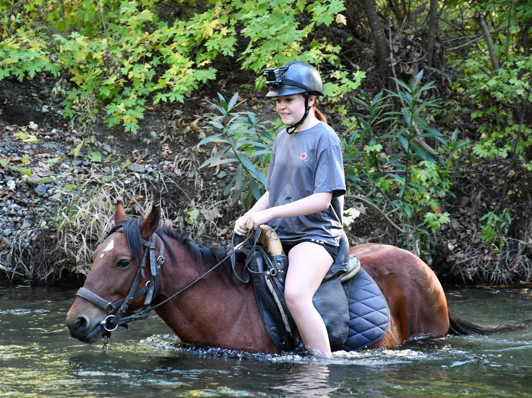 Pinar Horse Safari-马尔马里斯必去景点