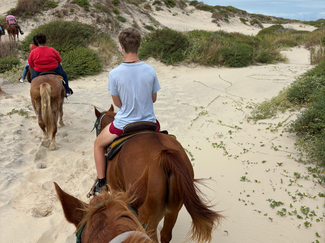 South Padre Island Adventure Park-南帕诸岛必去景点