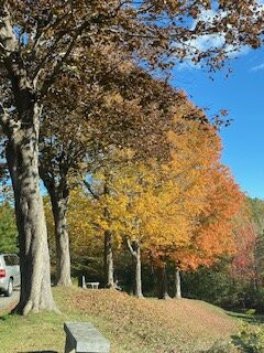 Laurel Hill Cemetery-萨考必去景点