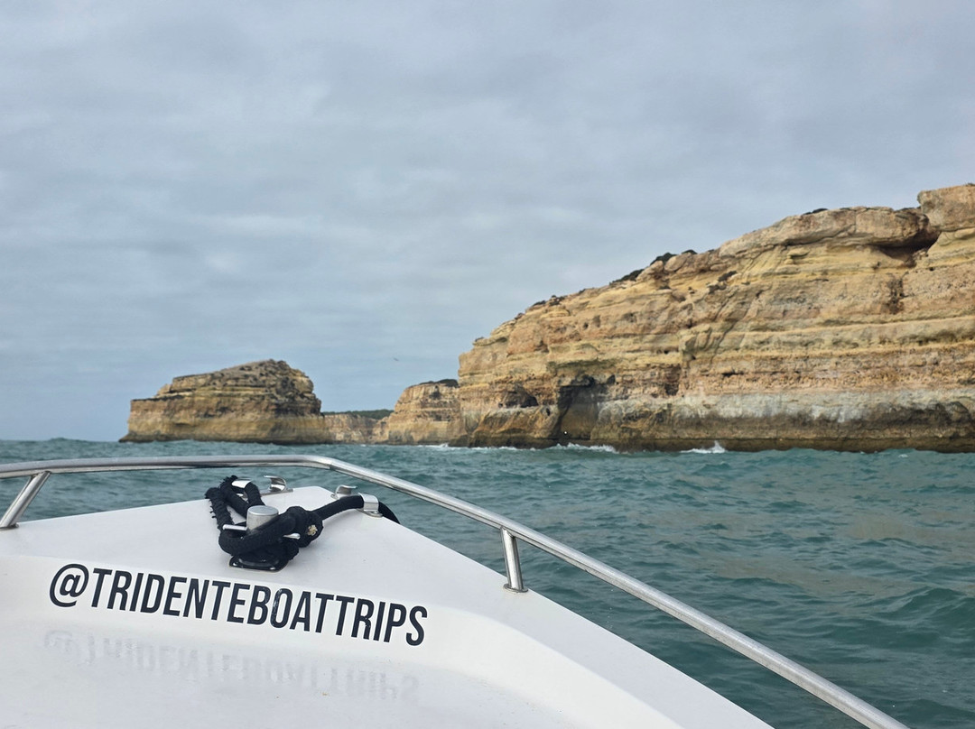 Tridente Boat Trips-阿玛考德佩拉必去景点