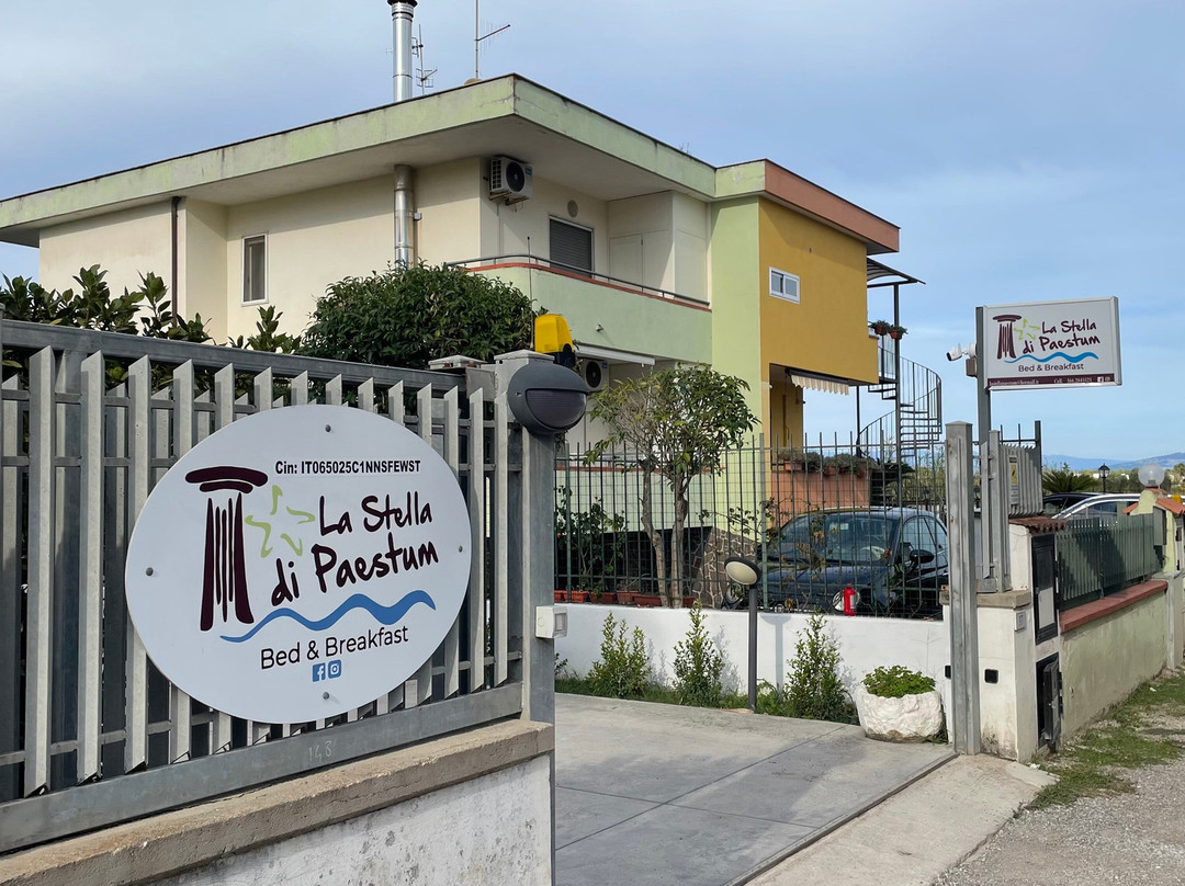 La Stella di Paestum主图