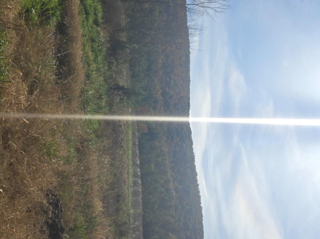 Backyard Adventure UTV Tours-East Canaan必去景点