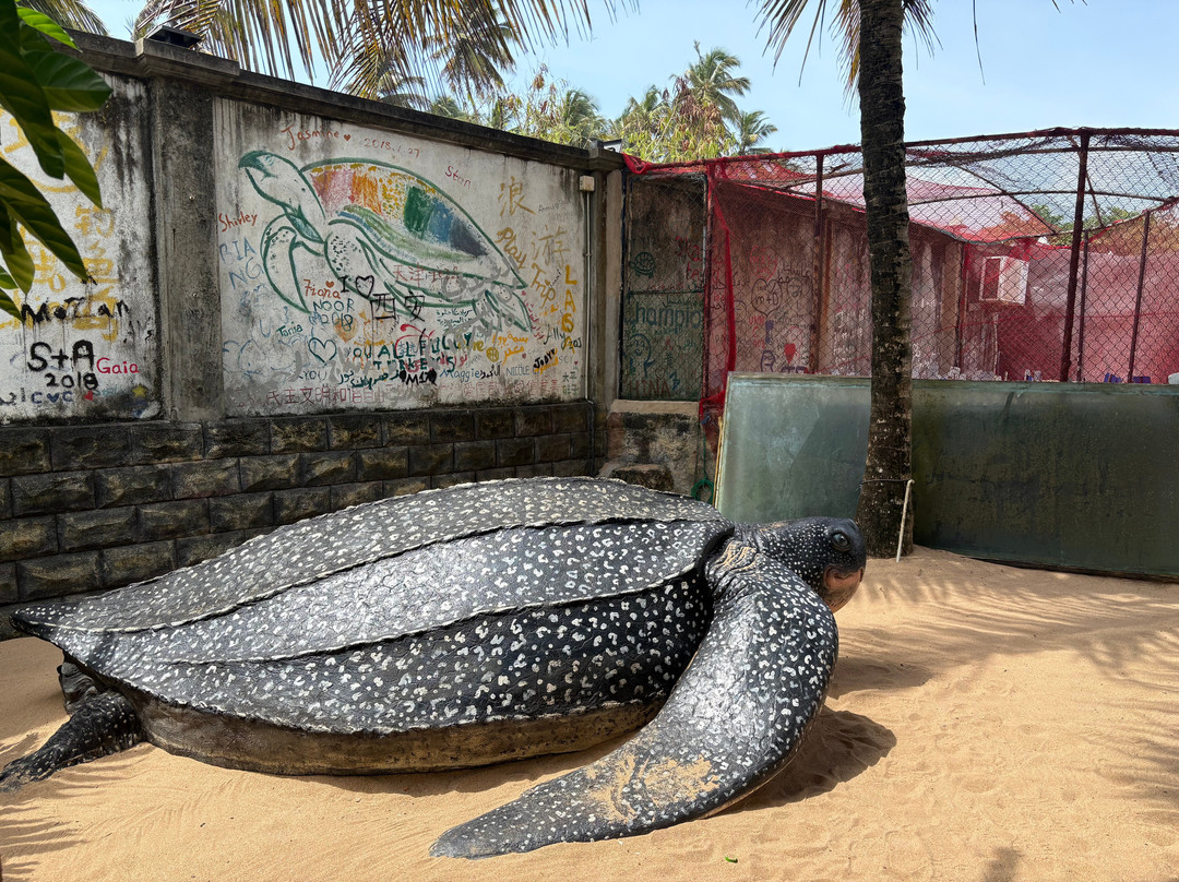 Travel with Lions-Panadura必去景点