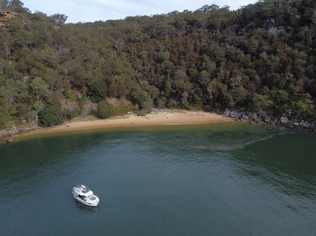 Time Out Cruises-Brooklyn必去景点