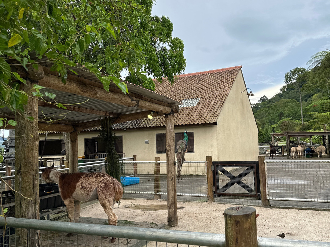 Bali Farm House-Pancasari必去景点