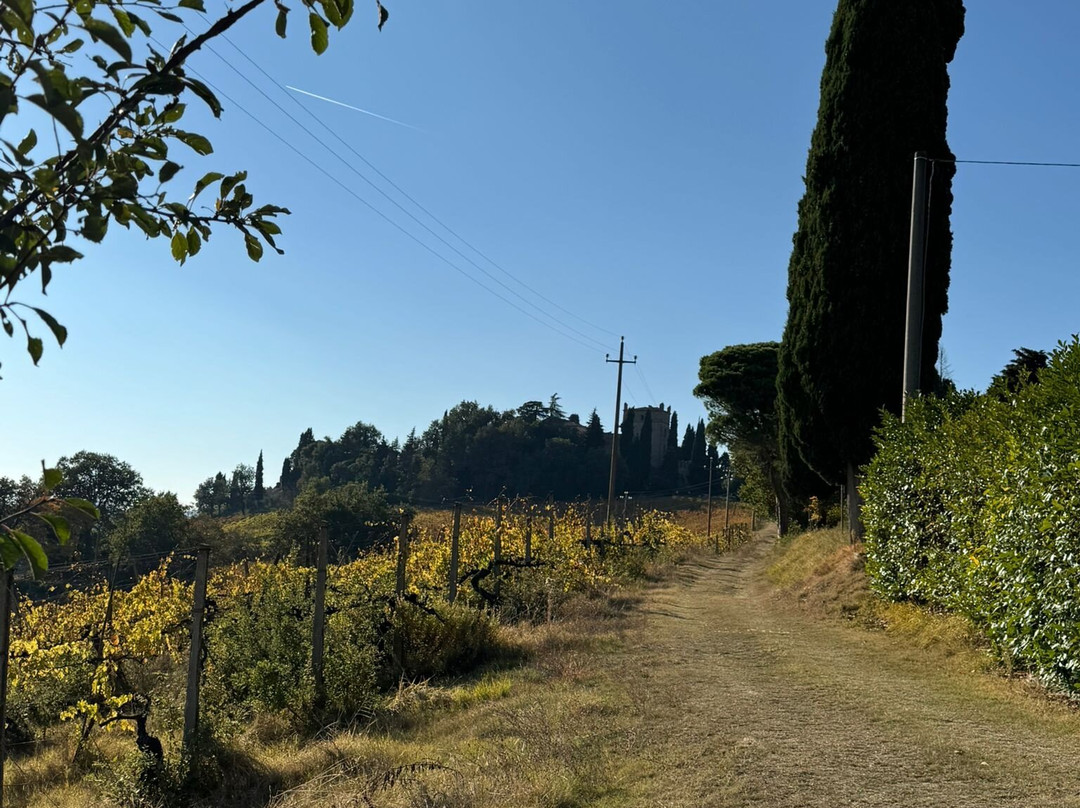 Azienda Agricola Fedrizzi Alessandro-Castello di Serravalle必去景点