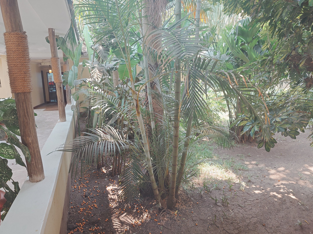 Karibu Heritage House主图