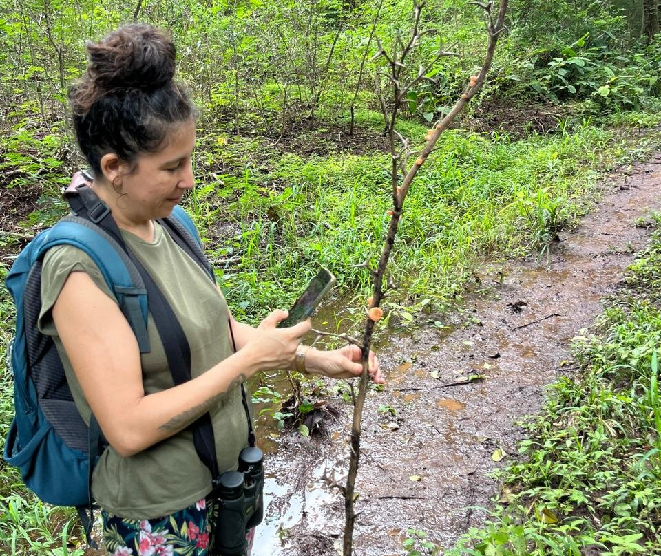 Oropopo Experience-Playa Avellanas必去景点