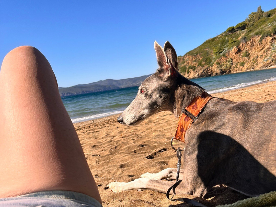 Spiaggia dell'Innamorata-Capoliveri必去景点