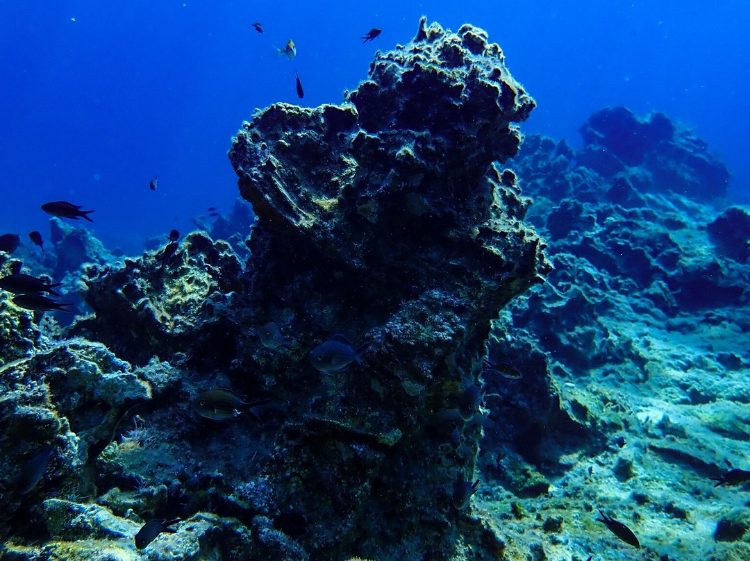 Evelin Dive Center-Platanias必去景点