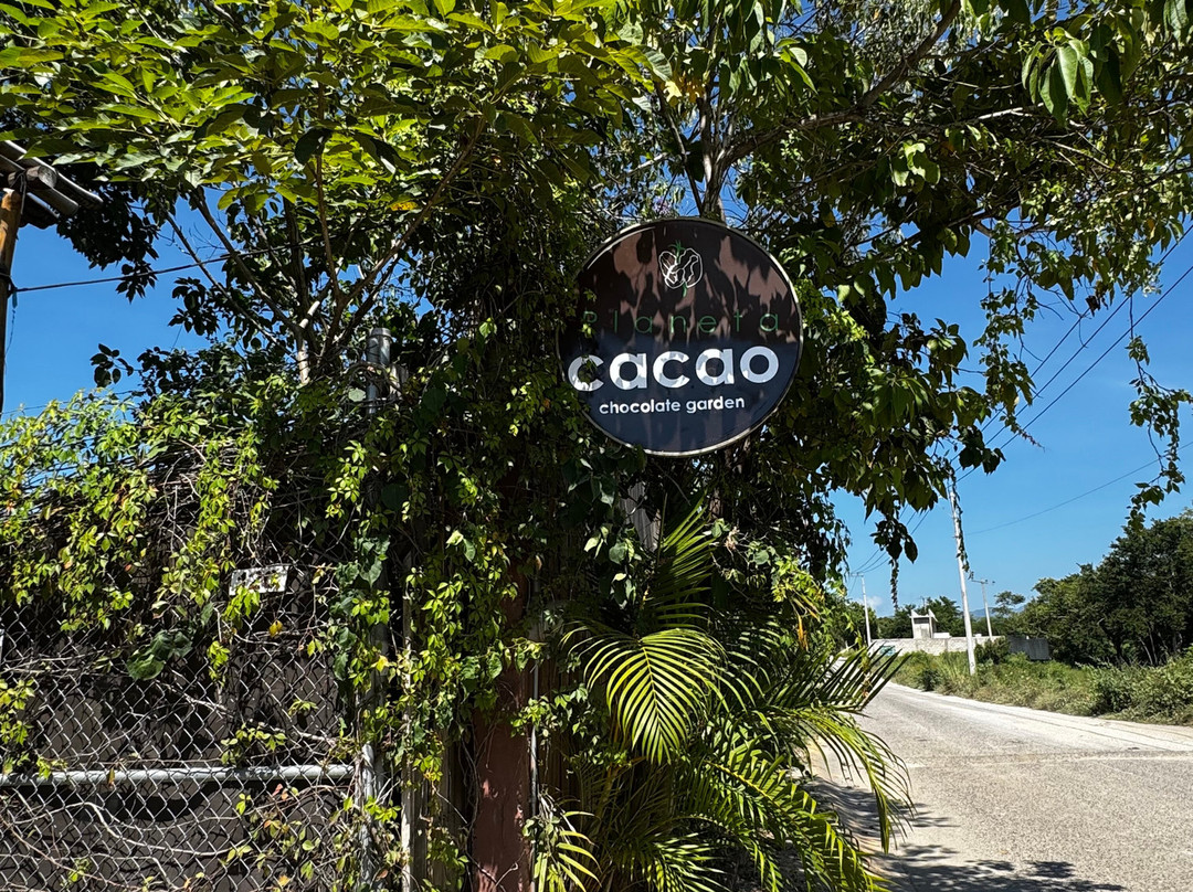 Planeta Cacao-Bahia de Banderas Municipality必去景点