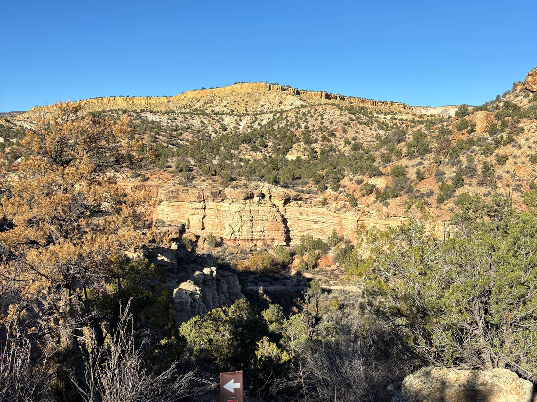 Escalante Petrified Forest State Park-埃斯卡兰特必去景点