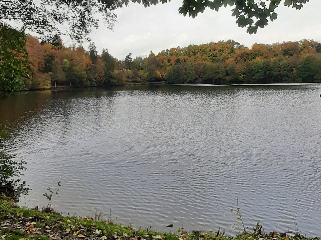 Gemündener Maar-Daun必去景点