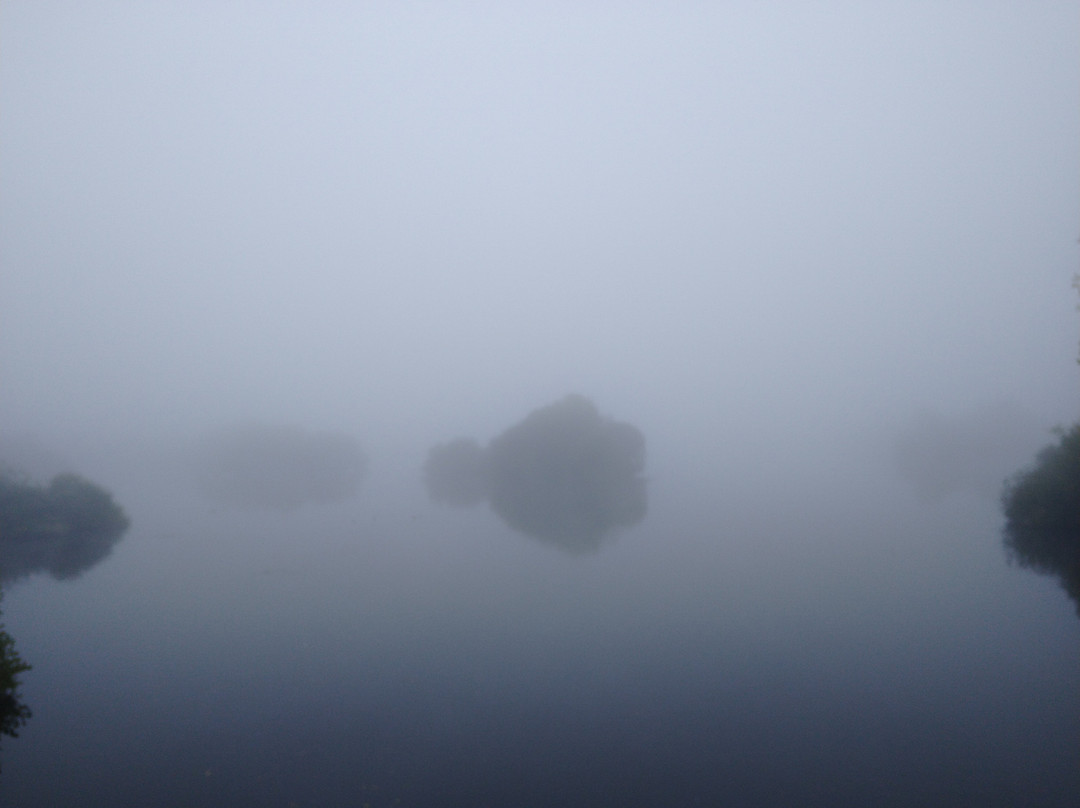 Attenborough Nature Centre-Attenborough必去景点