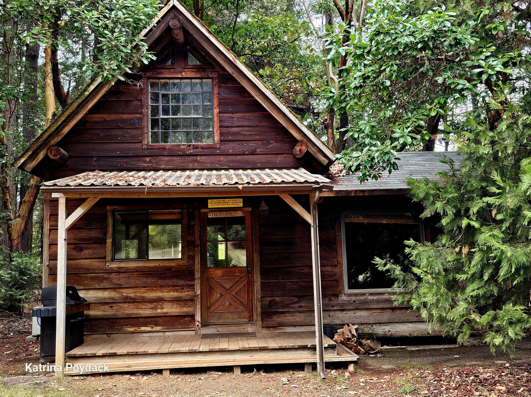 Out'n'About Treehouse-凯夫章克申必去景点