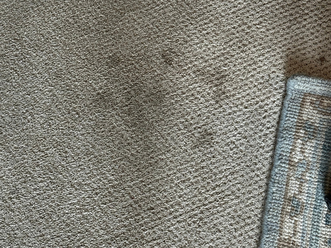 Black Bass Hotel主图