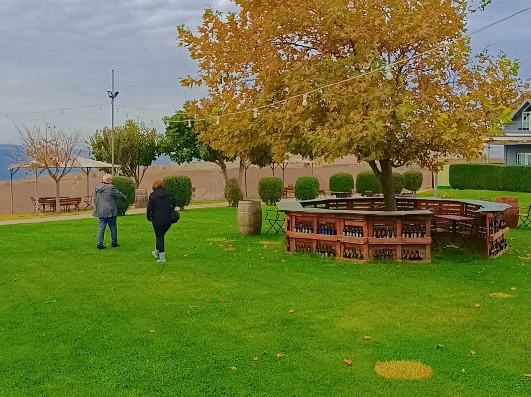 Barbare Vineyards-泰基尔达必去景点