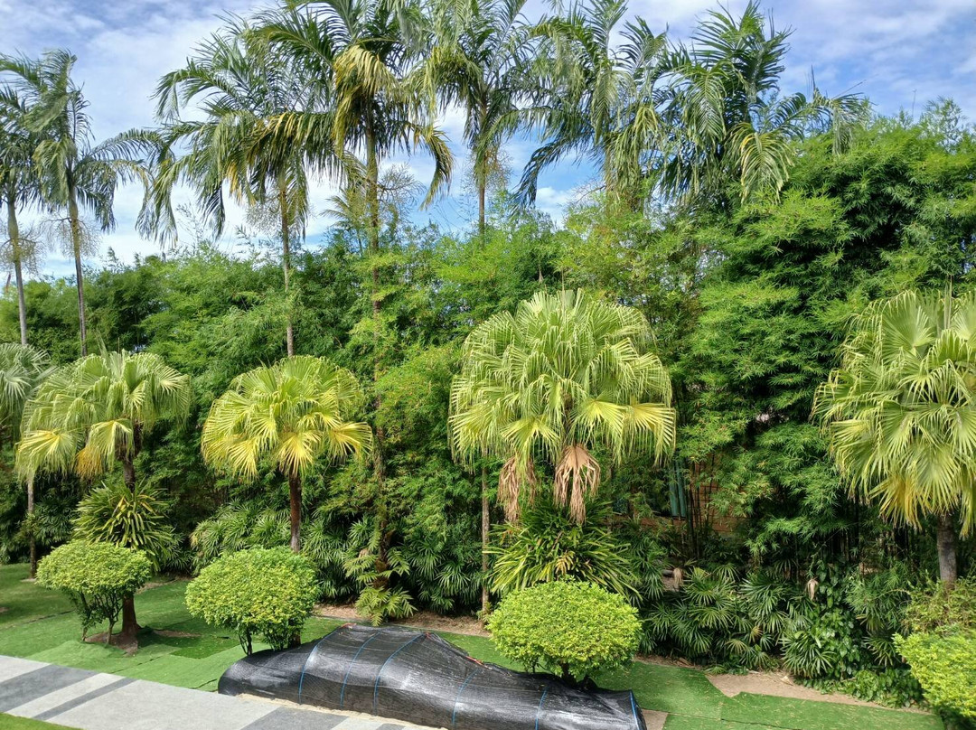 象岛清风酒店主图