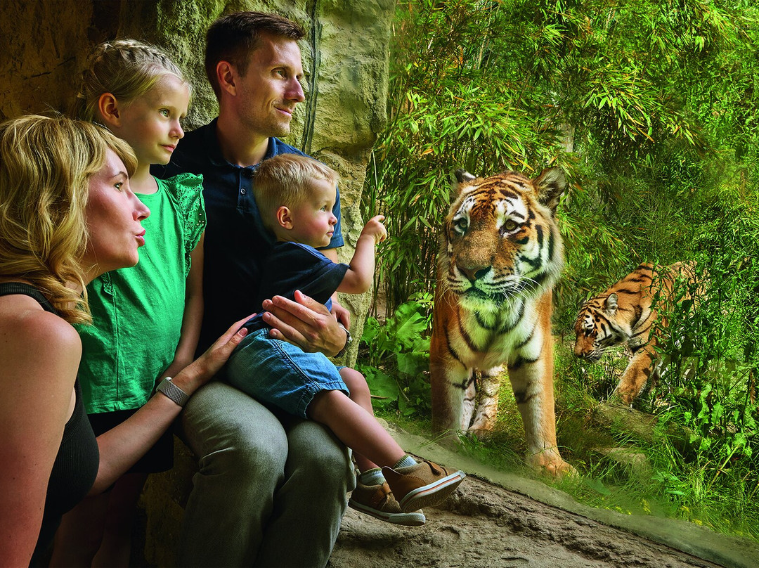 ZOOM Erlebniswelt_Official Site-Gelsenkirchen必去景点