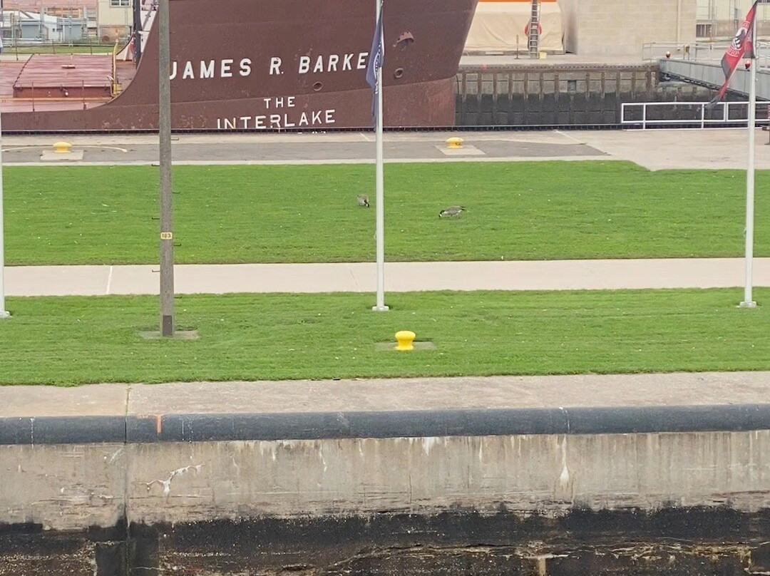 Soo Locks-Sault Ste. Marie必去景点