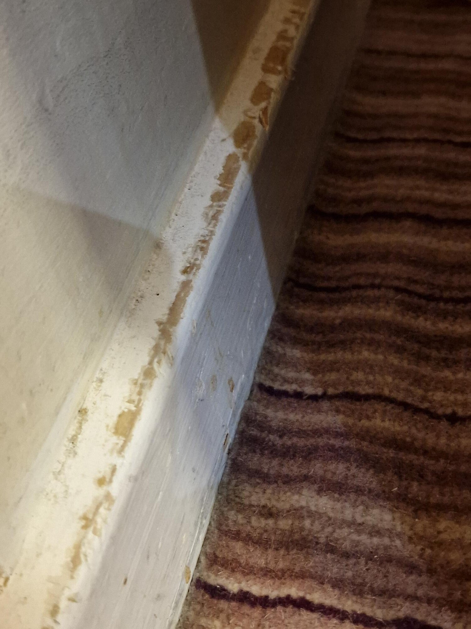 假日斯劳温莎酒店度假村-客卧