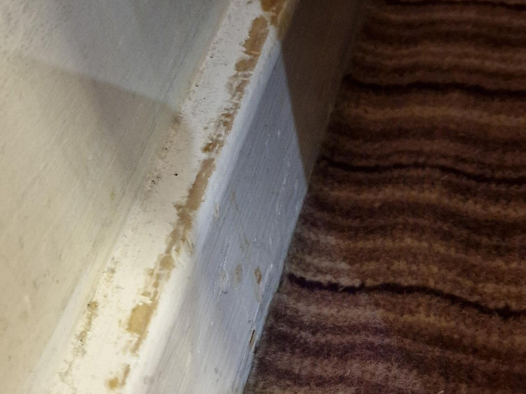 假日斯劳温莎酒店度假村主图