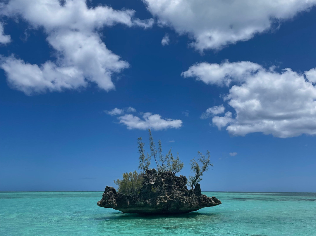 Adrien's Dream-弗力克昂弗雷克必去景点