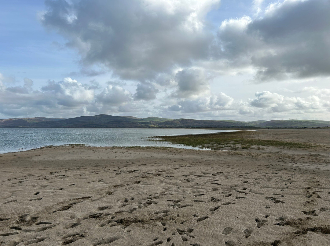 Ynyslas National Nature Reserve-Borth必去景点