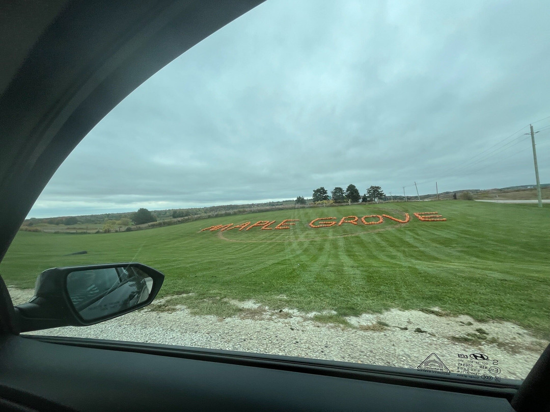 Maple Grove Farm-Mulmur必去景点