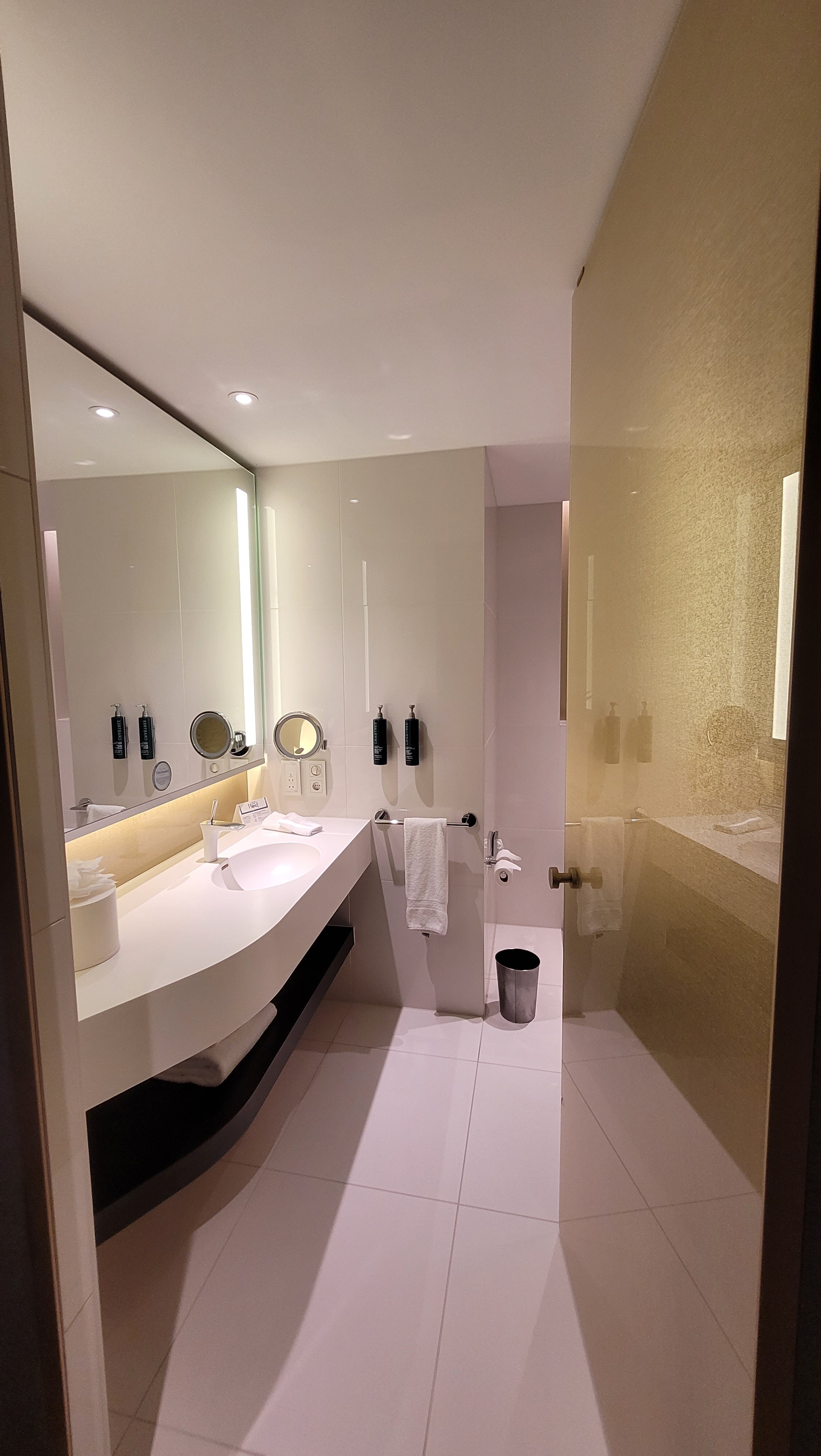 希尔顿阿姆斯特丹酒店(斯希普霍尔机场)-浴室