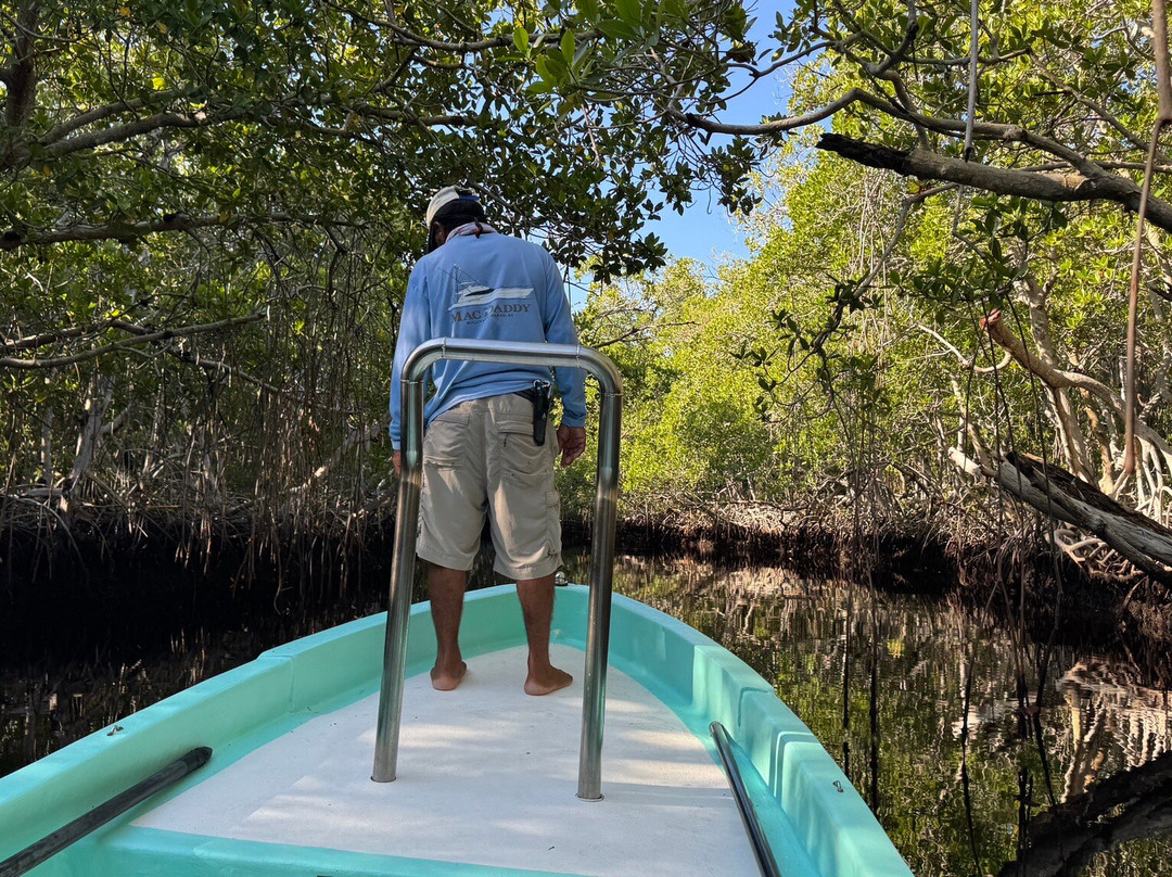 Tarpon Town Anglers-坎佩切州必去景点