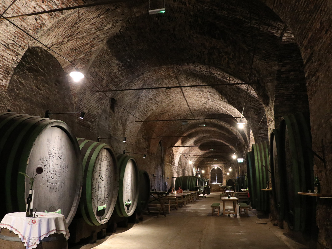 Schloss Seggau-Leibnitz必去景点