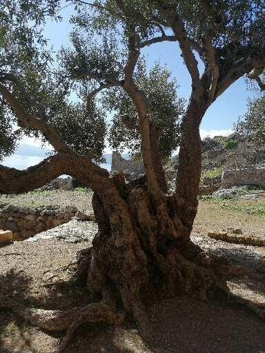 Agia Sofia Church-莫奈姆瓦夏必去景点