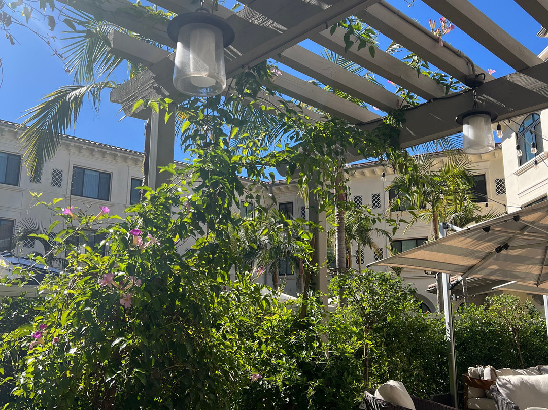 Cambria Hotel Calabasas - Malibu主图