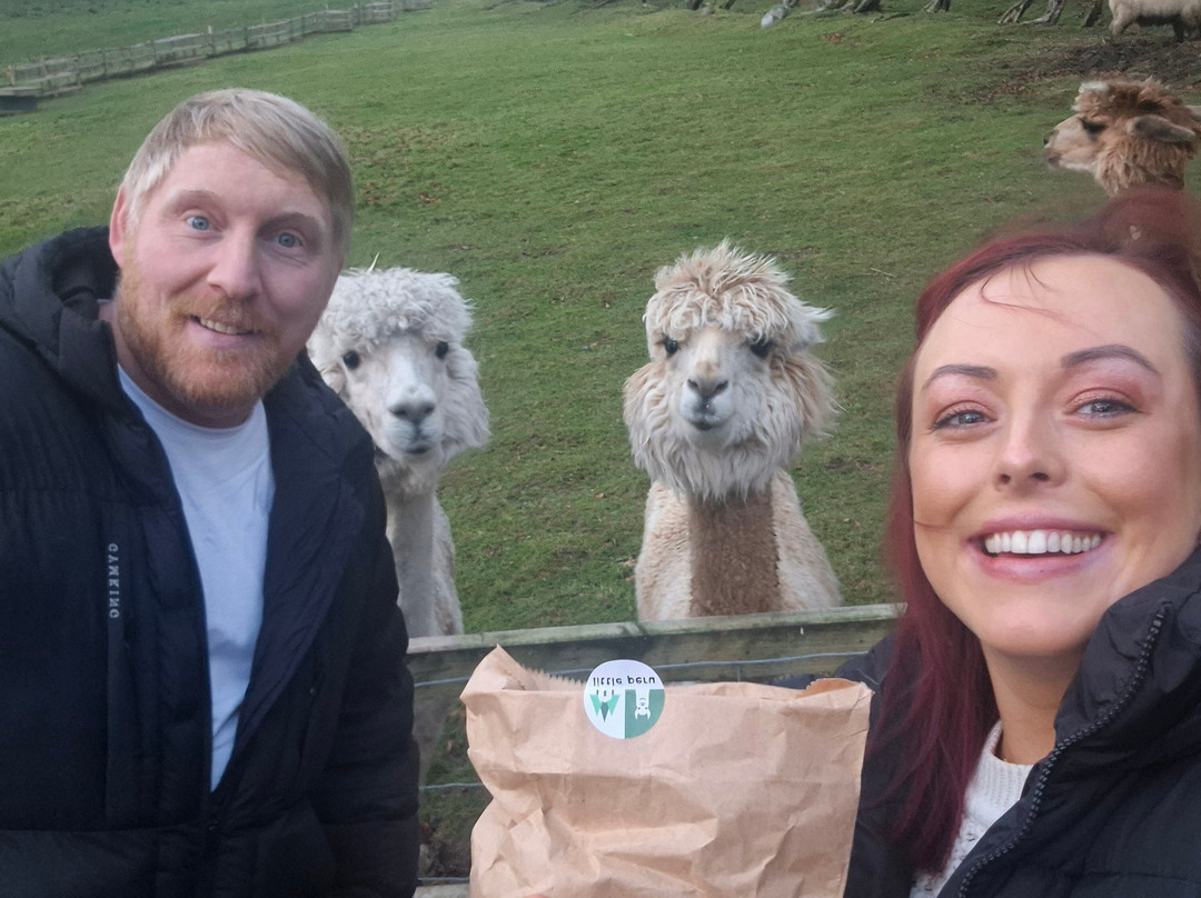 little peru alpaca trekking-Maybole必去景点