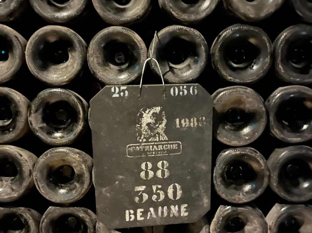 Patriarche Pere & Fils-博讷必去景点